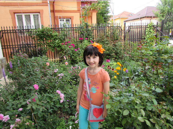 17 iulie - 2015 gradina mea