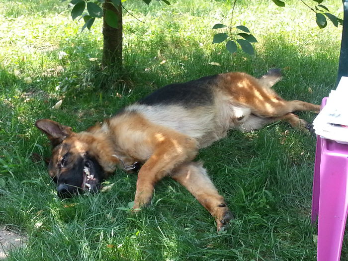 2015-07-22 12.54.07 - P--ACHIZITII NOI