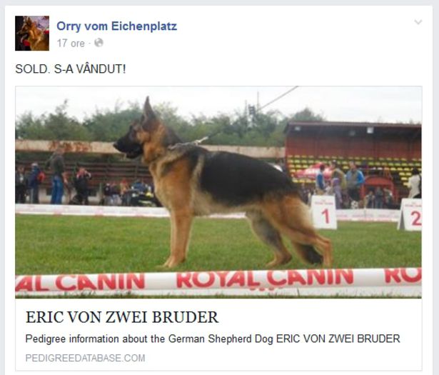 Screenshot - 7_23_2015 , 08_06_24 - P--ACHIZITII NOI