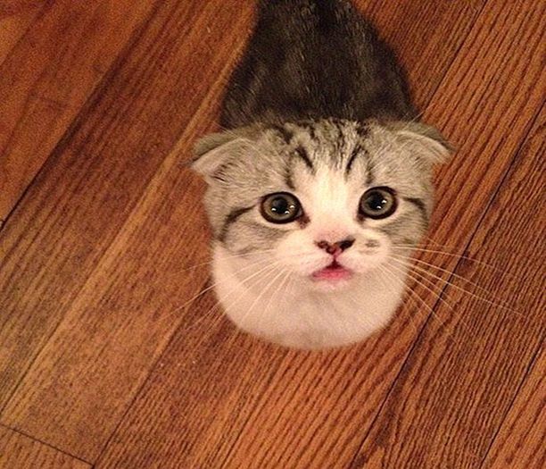 ͡͡ ͡͡ ͡͡ ͡͡ ͡͡ Meredith ͡͡ ͡͡ ͡͡ ͡͡ ͡͡ || 06.23.2015