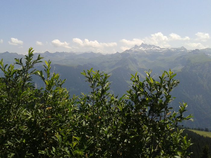20150715_123100 - 2015 Slovenia Elvetia Lichtenstein Germania Ungaria