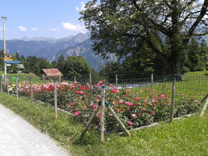 20150715_145157 - 2015 Slovenia Elvetia Lichtenstein Germania Ungaria