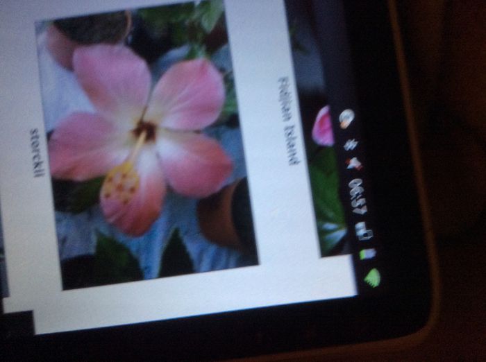 image; Pentruciorascu mioara
