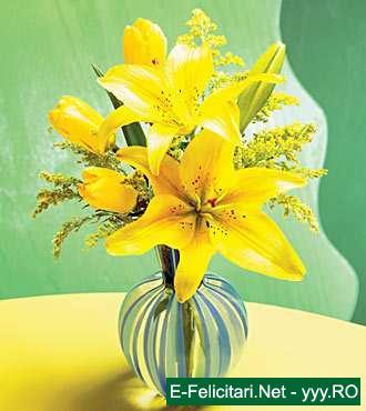 watermark12 - flori
