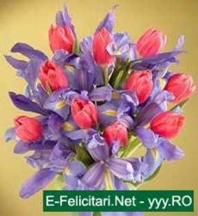 watermark10 - flori