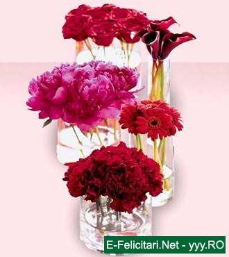watermark8 - flori