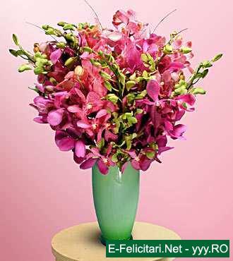 watermark7 - flori