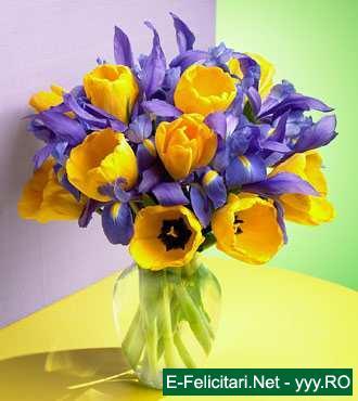 watermark5 - flori