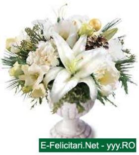 watermark0 - flori