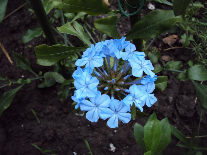 DSC01228