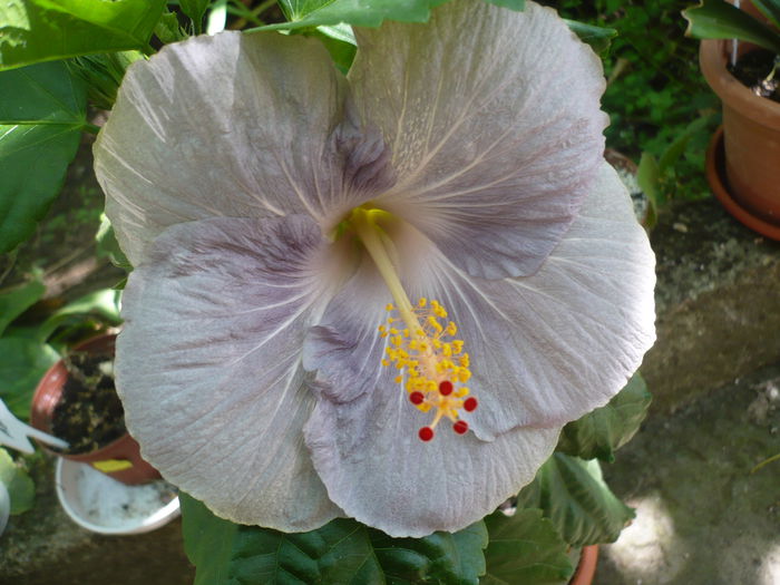 P1230244