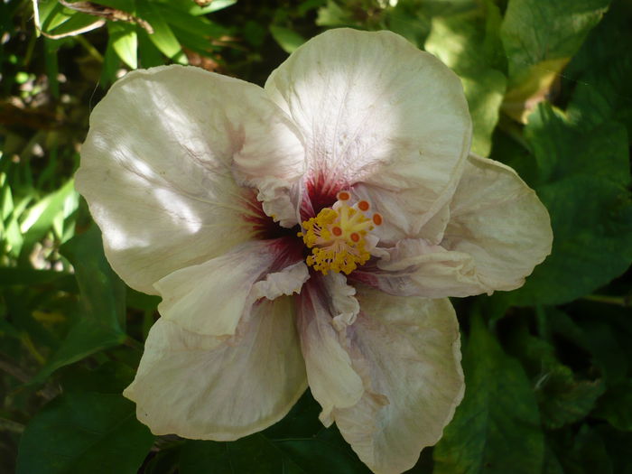 P1230248