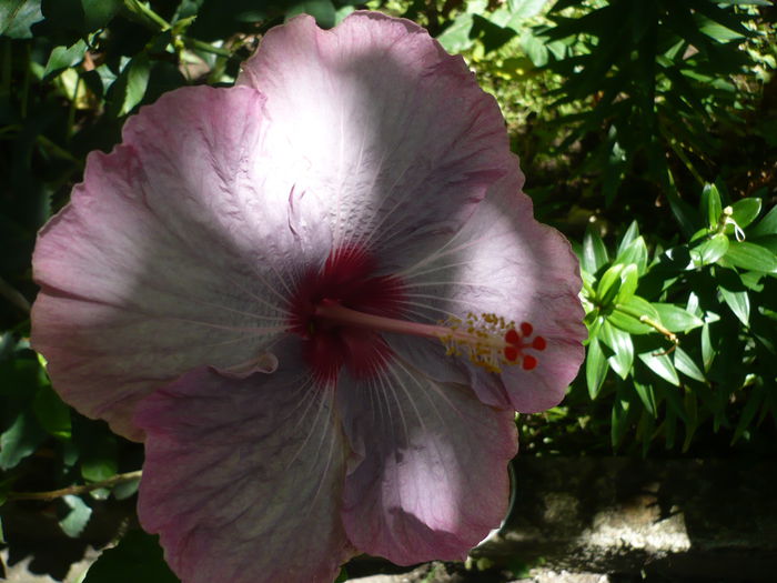 P1230254