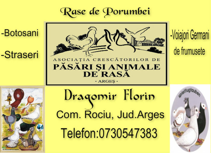 Dragomir Florin