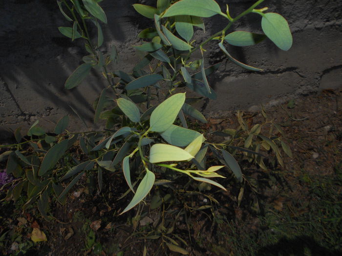 ucisori 067