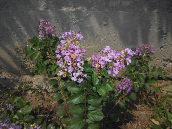 ucisori 070