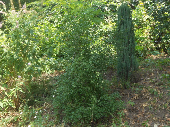 ucisori 075