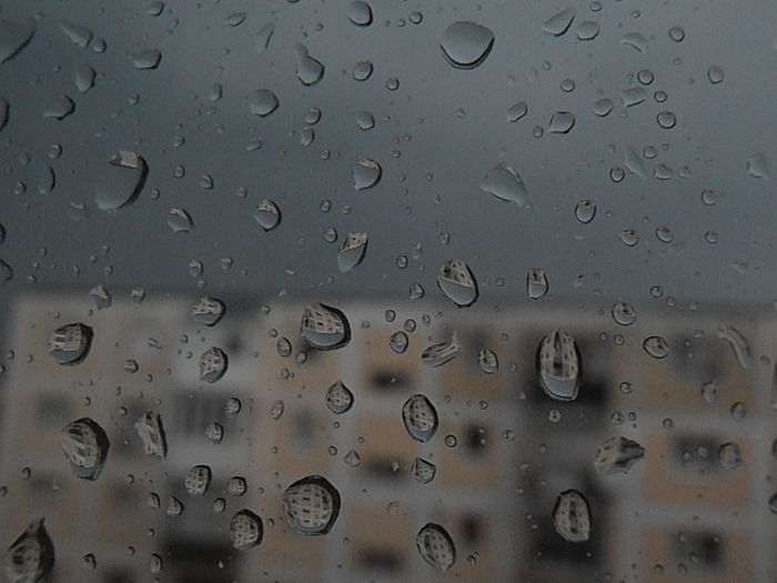 P7240062 - STROPI SI PICATURI