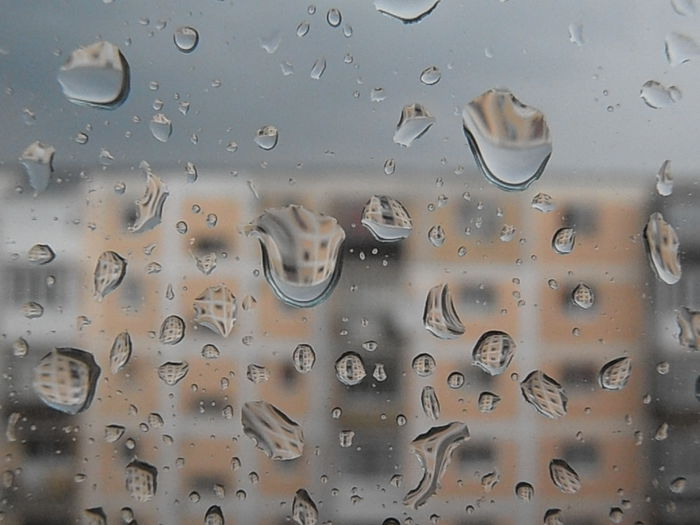 P7240070 - STROPI SI PICATURI