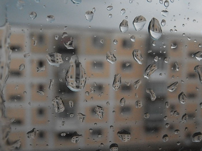 P7240089 - STROPI SI PICATURI