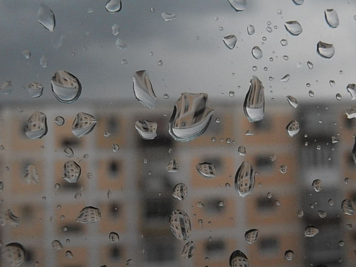 P7240095 - STROPI SI PICATURI