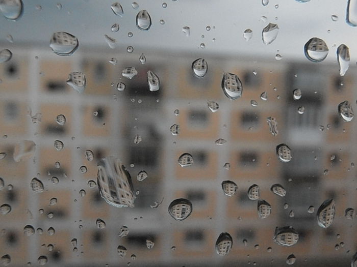 P7240100 - STROPI SI PICATURI