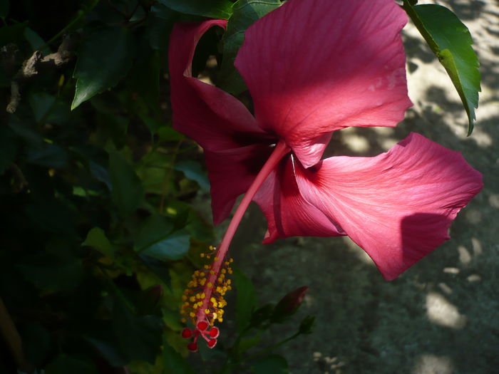 P1230257