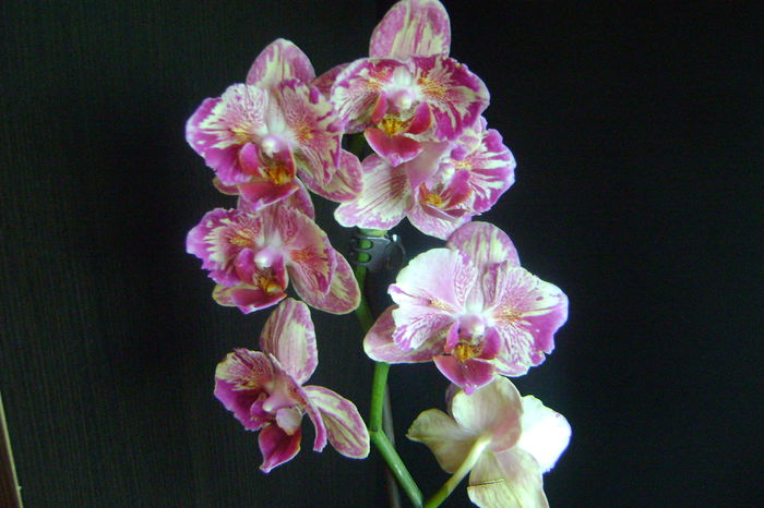 DSC08120