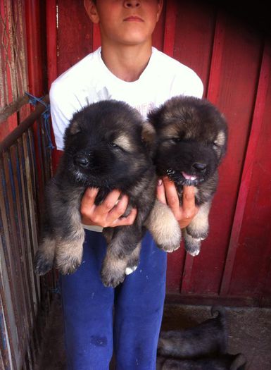 11805730_828705233866012_1115370566_n