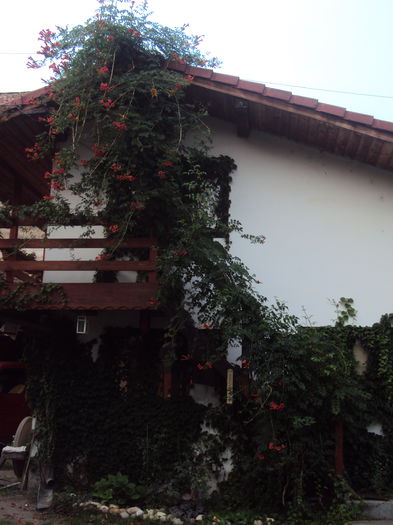 DSC02868