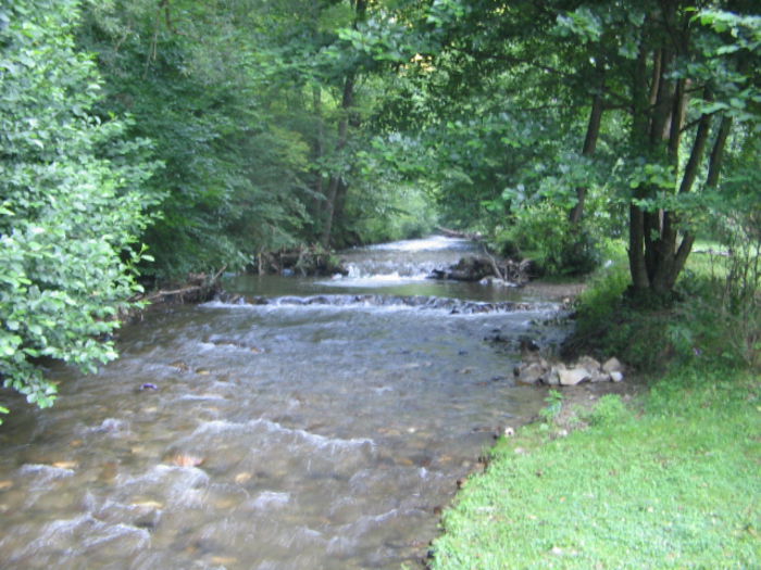 IMG_0249; Râul Poşaga.
