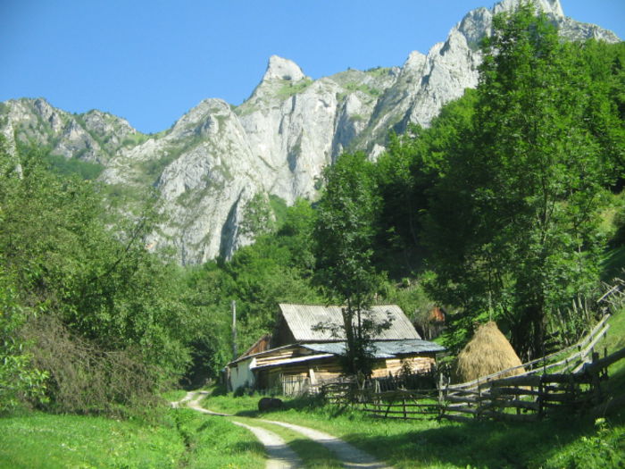 IMG_0270; Scăriţa Belioara.
