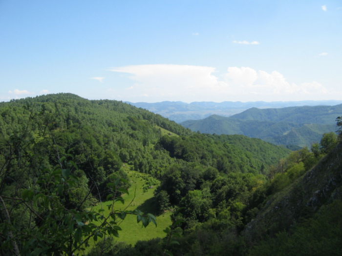 IMG_0294; Vedere de pe Scăriţa Belioara.
