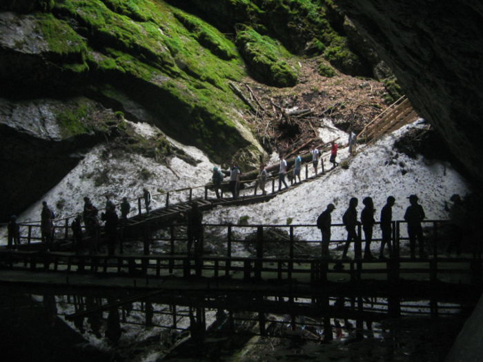 IMG_0314; Peştera Gheţarul se la Scărişoara
