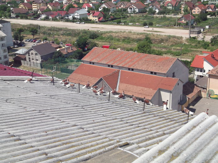 pe pista de lansare