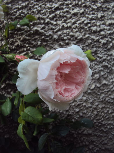 DSC01406