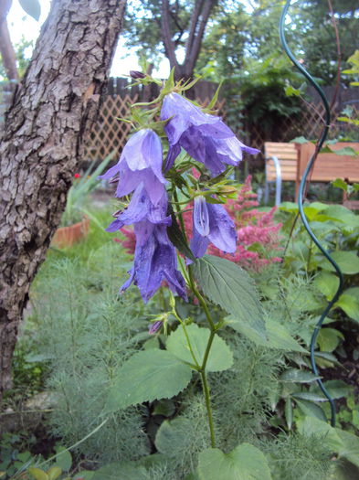 DSC01493