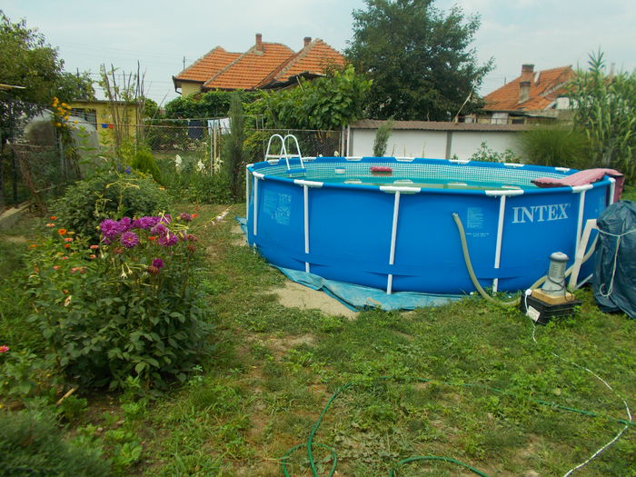 DSCN0577