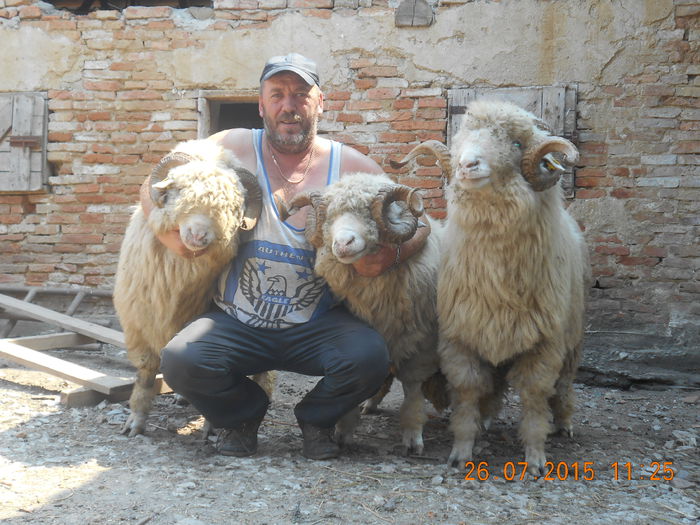 Picture 062 - Berbeci 2o14-2015