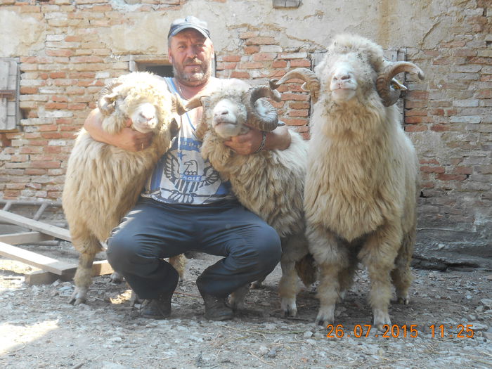 Picture 063 - Berbeci 2o14-2015