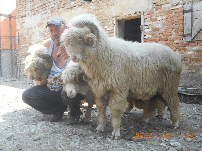 Picture 064 - Berbeci 2o14-2015