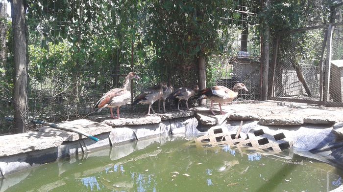 20150726_135901; O familie fericita
