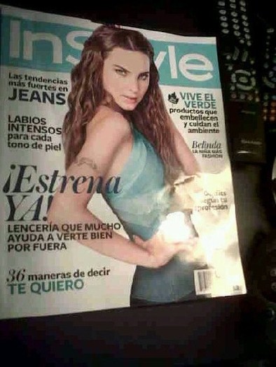 portadains
