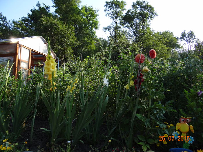 in gradina...