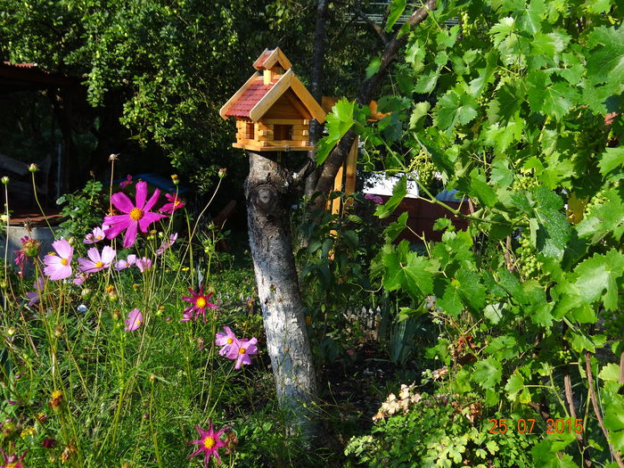  - Vara in gradina II