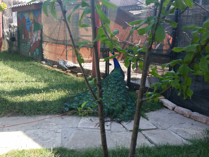 20150708_104158
