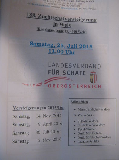 licitatie berbeci -tapi Wels