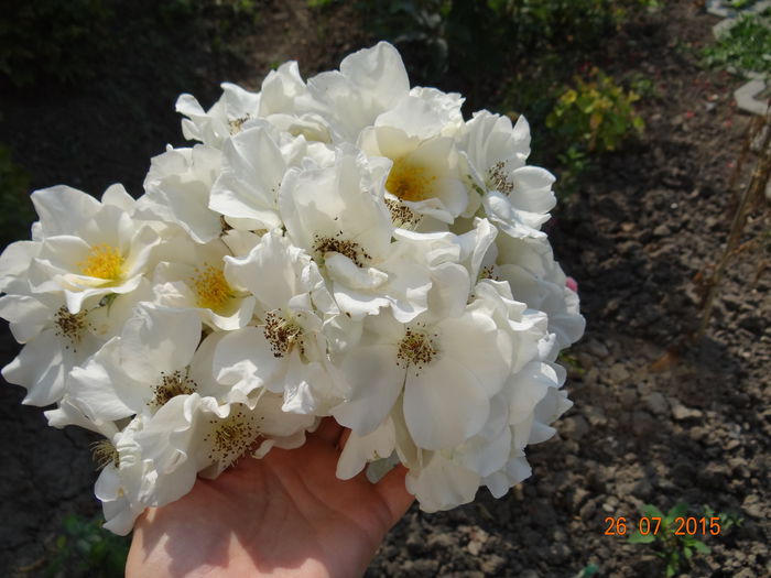 Pentru mine, e minunata!