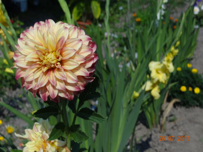  - Vara in gradina II