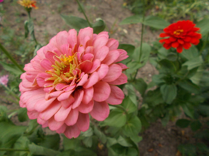 DSCN2872